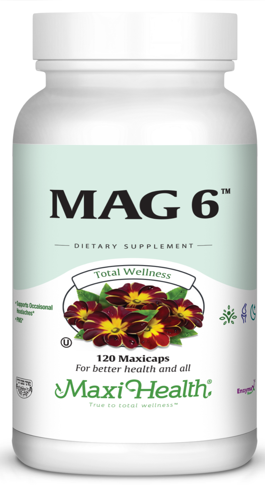 Mag 6™
